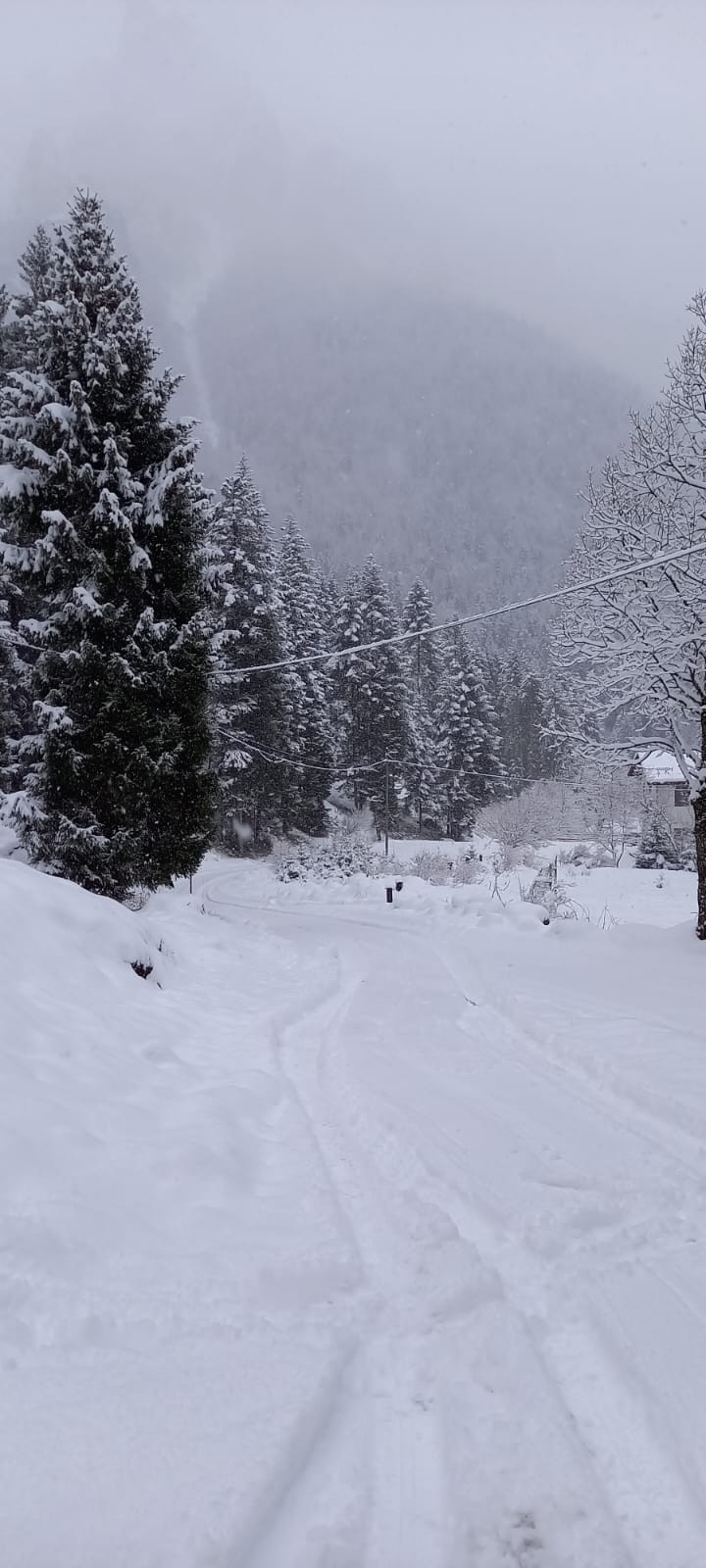 Esterno Neve